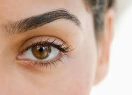 Eyebrows Thread & Tint
